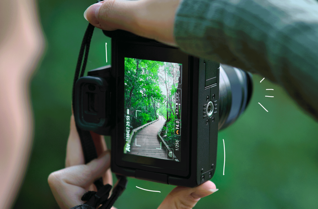 Eine Fotokamera, durch deren Display ein Waldweg zu sehen ist.